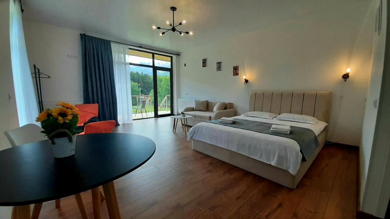 Hotel Terkhena Stepancminda Exteriér fotografie