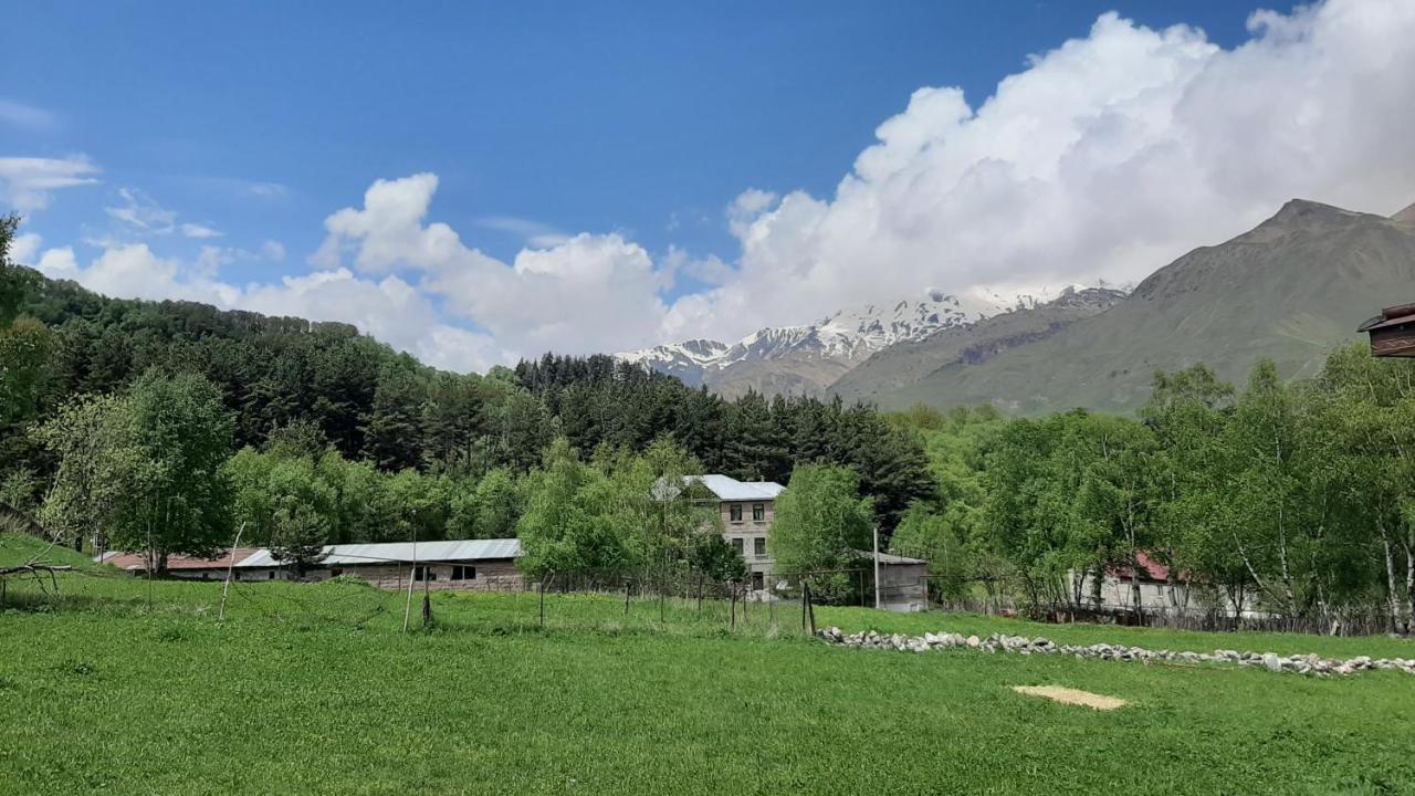 Hotel Terkhena Stepancminda Exteriér fotografie