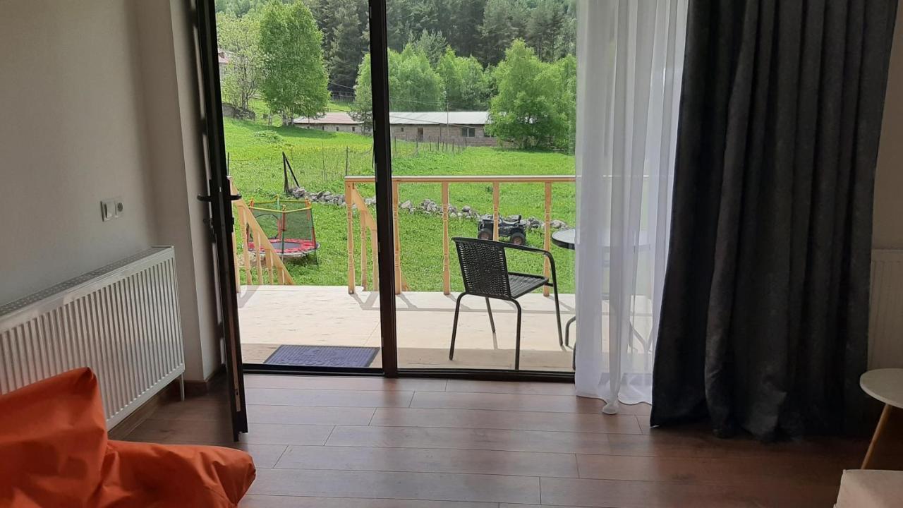 Hotel Terkhena Stepancminda Exteriér fotografie